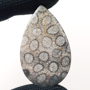 Fossilized Coral, Indonesia Fossilized Gemstone, Loose Gemstone For Making Jewelry, Hand Polished Stone
