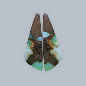 Rare Opalized Petrified Wood Copper Inside Pair Earring  , Indonesia Opal Gemstone, Hand Polished Stone