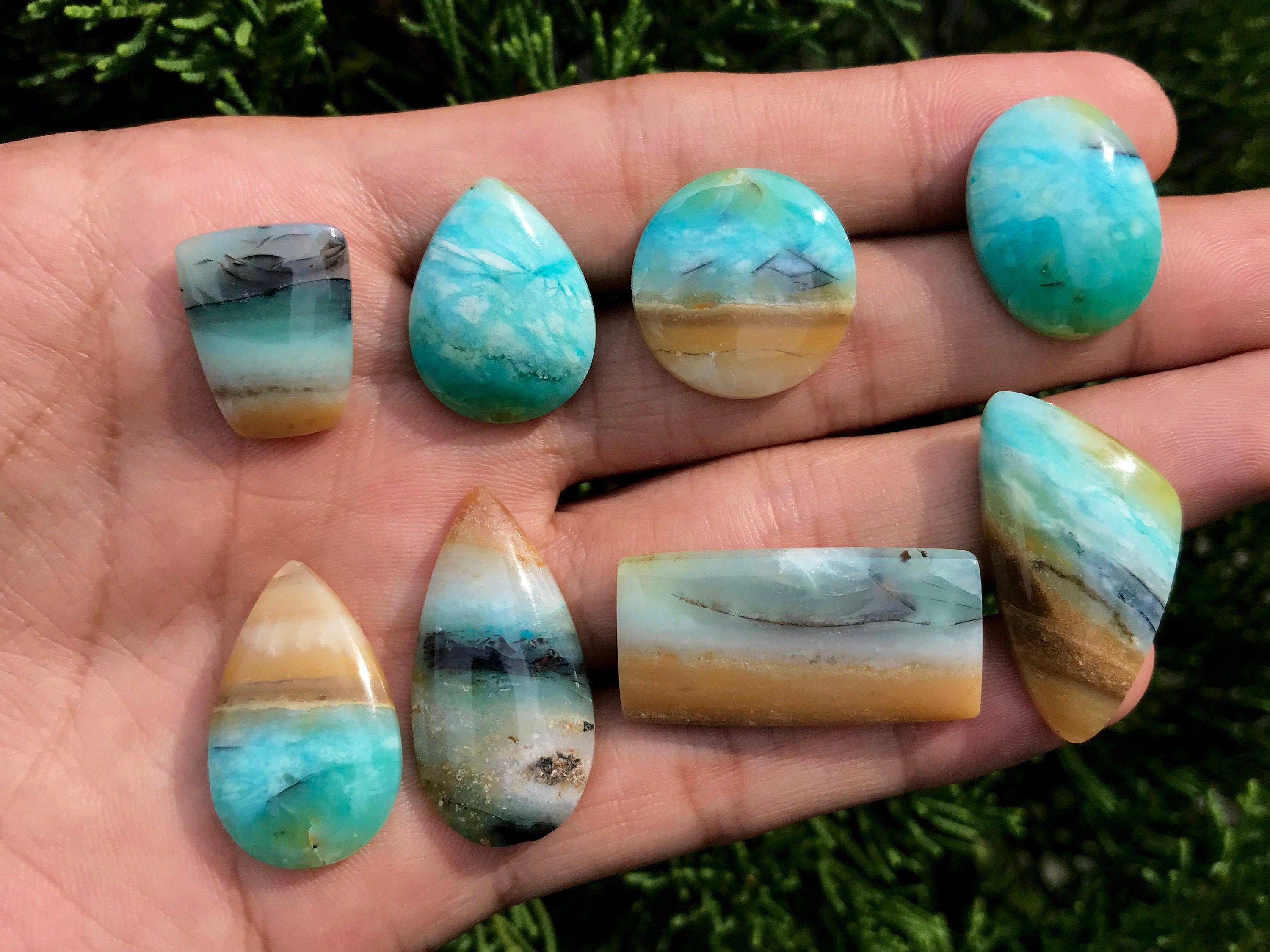 petrified wood opal petrified wood opal