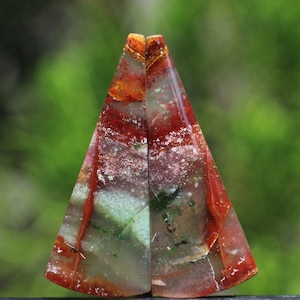 Blue Opalized Petrified Wood Multicolour Pairs