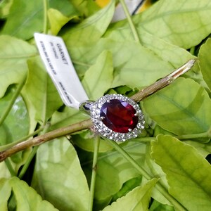 May include: A silver ring with a large oval-shaped red garnet gemstone surrounded by smaller clear gemstones. The ring is on a green leafy branch. The tag attached to the ring says "GARNET" and "925 STERLING SILVER MADE IN CHINA".