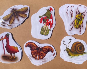 Lil’ Critters Sticker Pack – Waterproof Insect Stickers x6