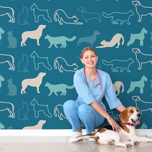 Cute Dog Wallpaper, Lovely Dogs Wallpaper, Blue Wallpaper, Vet ...