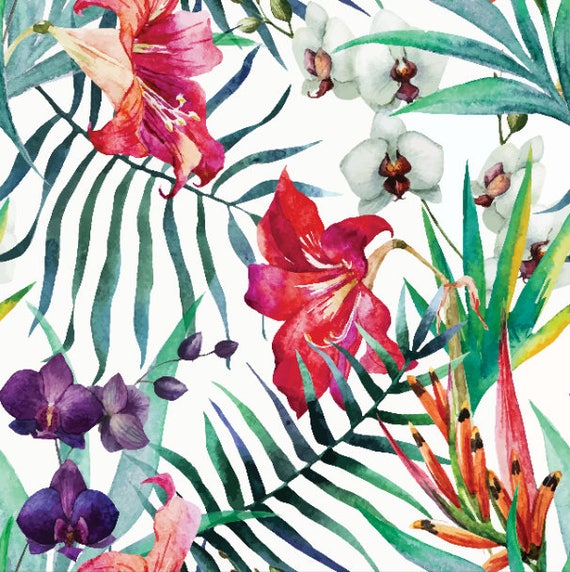 Papel tapiz de flores rojas tropicales / papel tapiz - Etsy España Papel tapiz de flores rojas tropicales / papel tapiz - Etsy España