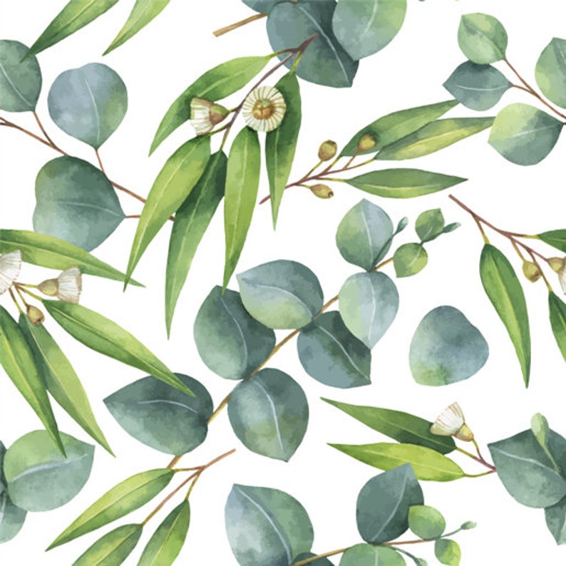 Eucalyptus Leaves Wallpaper Removable Wallpaper Self Etsy