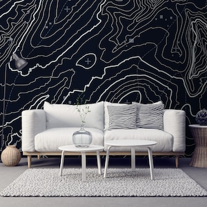 Papier peint topographique sombre, décoration murale sombre, décoration murale élégante, papier peint autocollant, papier peint amovible, motif géographique #241