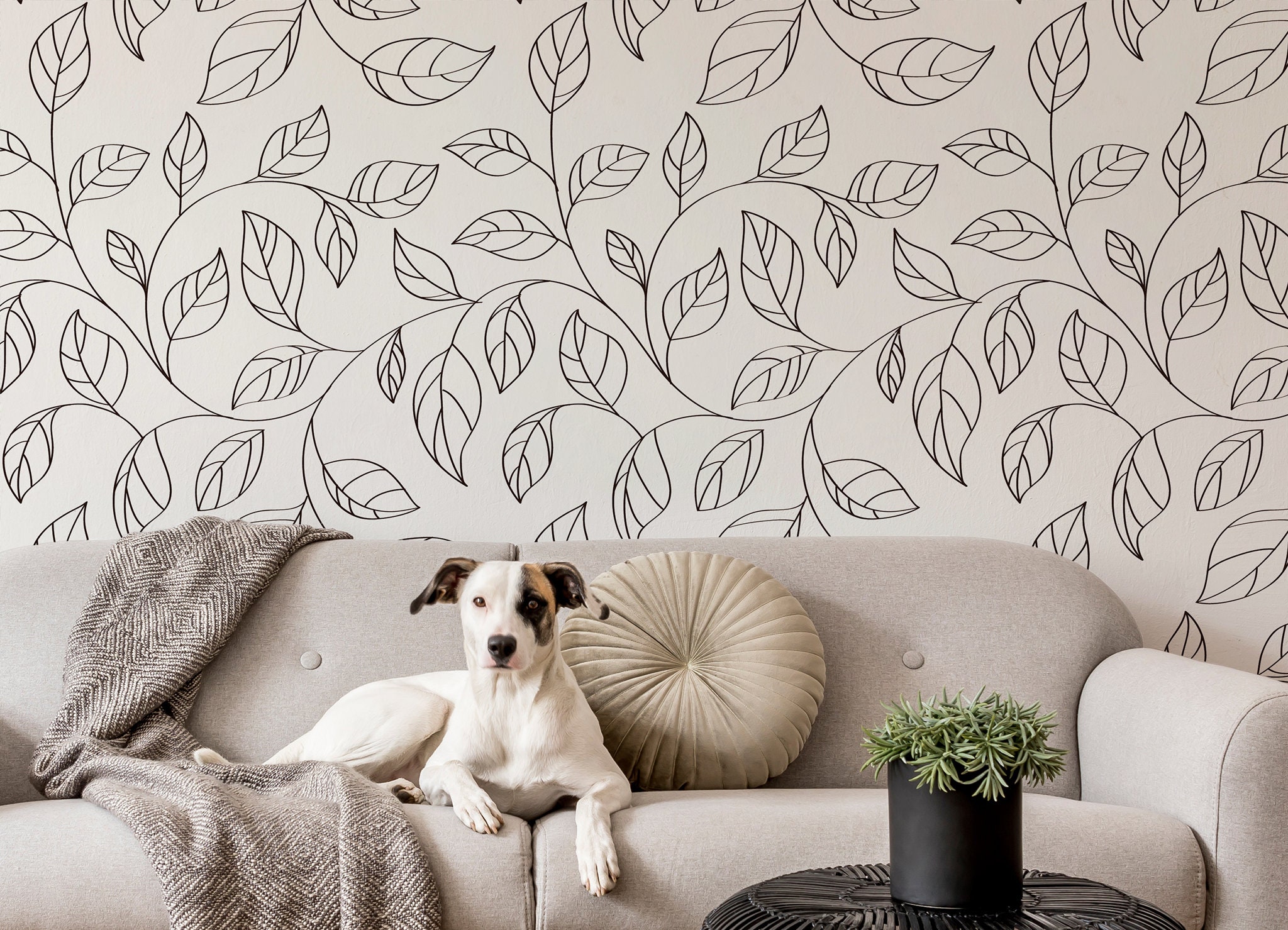 Peel-and-Stick Removable Wallpaper Flower Black White Modern Home And Nature Peel-and-Stick Removable Wallpaper Flower Black White Modern Home And Nature