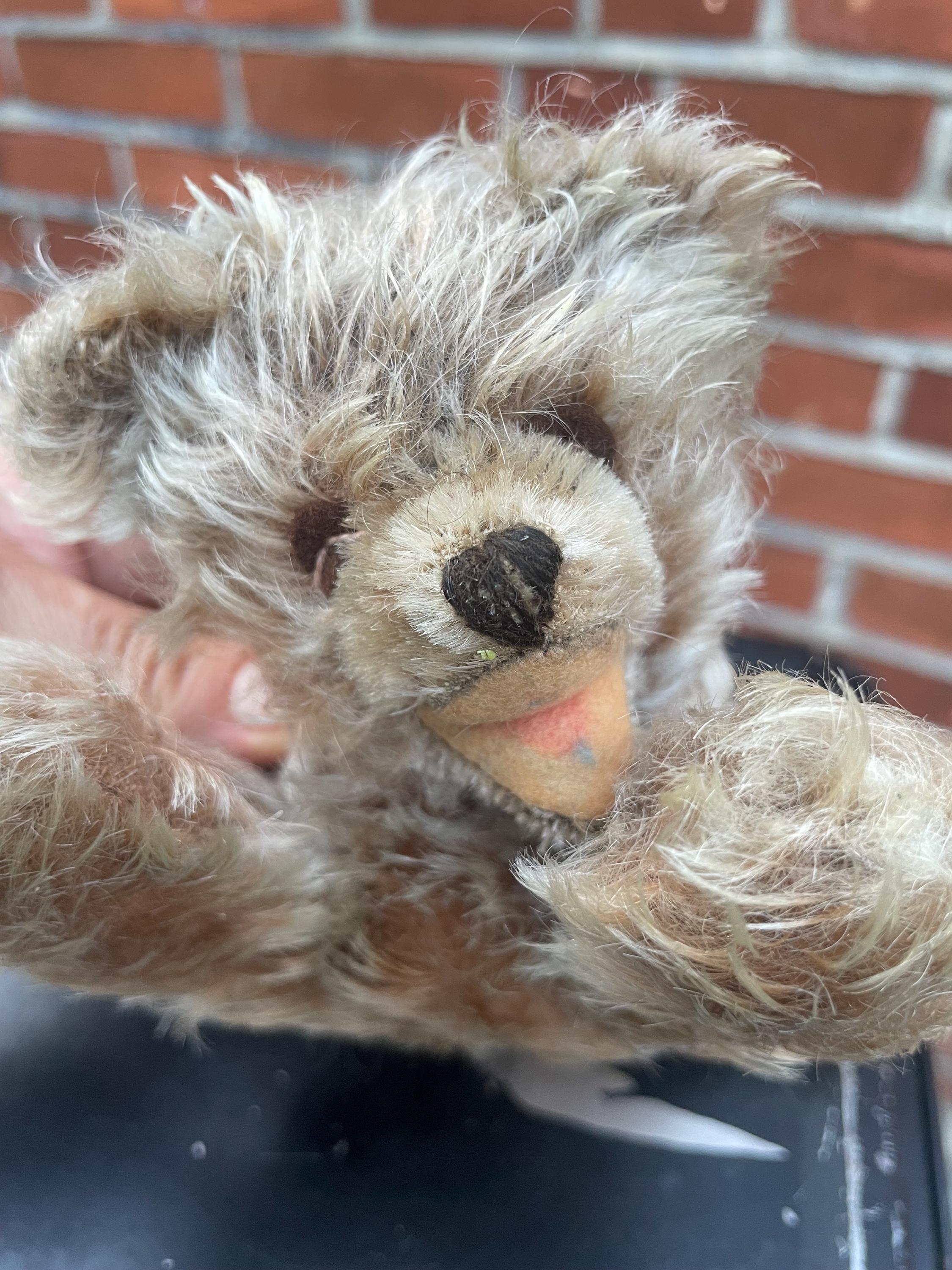 Steiff zotty bear - Etsy 日本 Steiff zotty bear - Etsy 日本