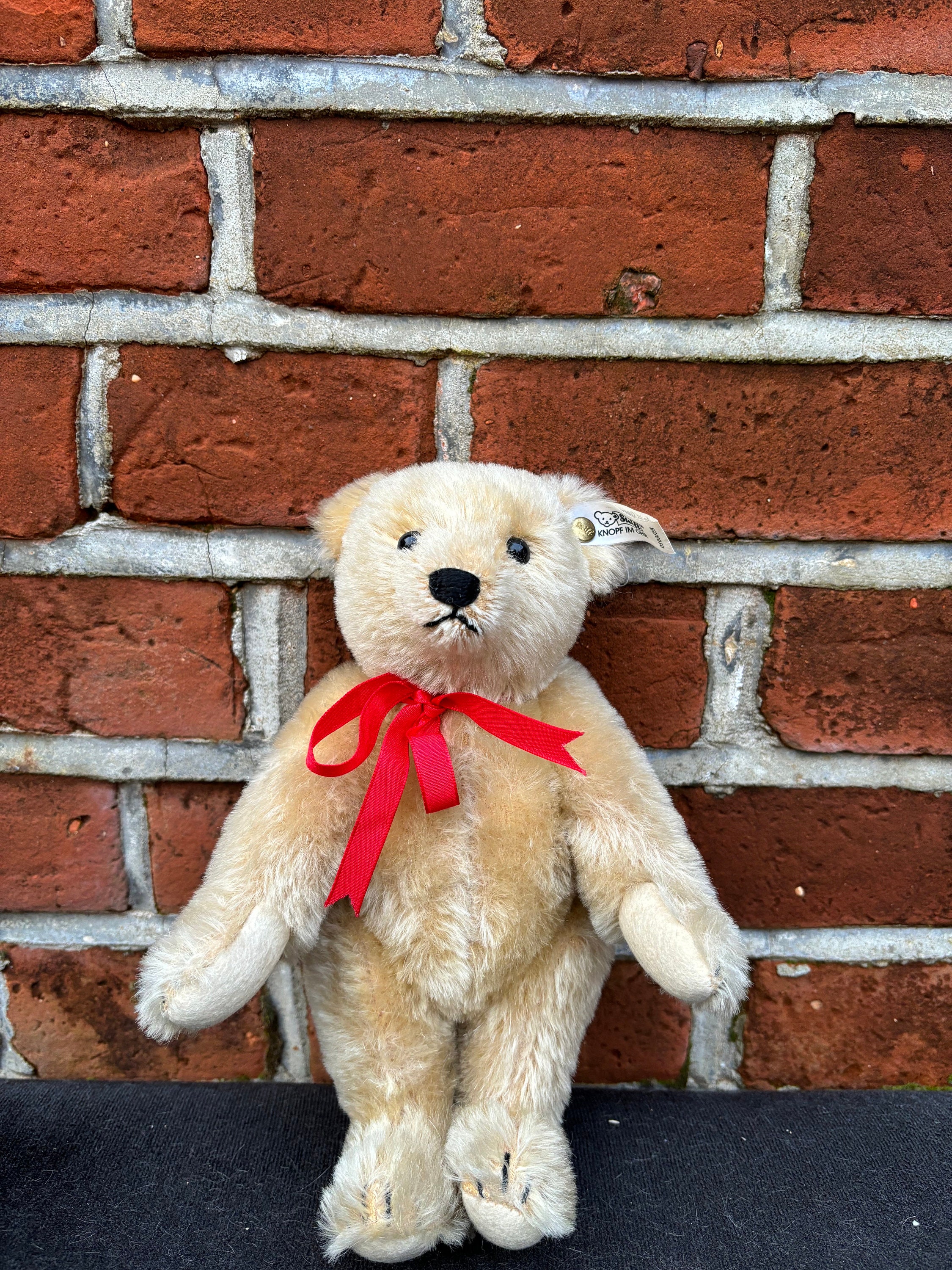 Vintage Steiff Mohair Teddy Bear EAN 0163/26 White Tag