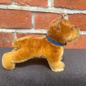 Steiff Boxer Dog Sarras  1950s