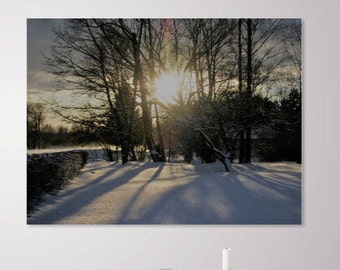 Winter sun in the tree with blue sky, snow and shadows for digital photo print, wall art, instant download