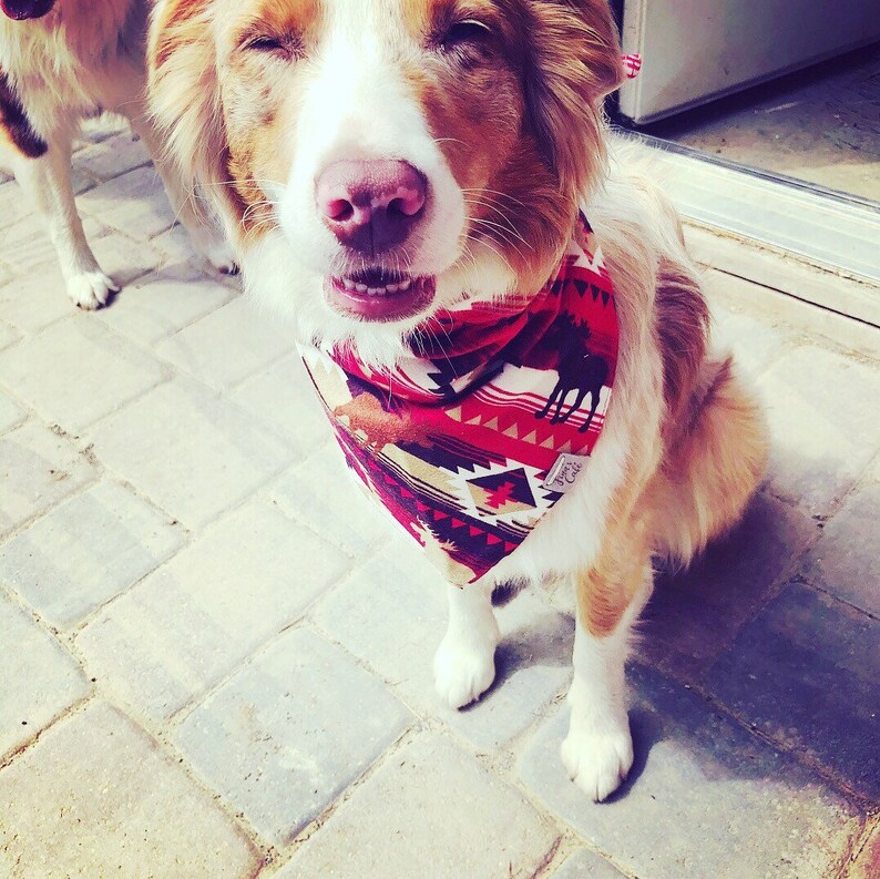 Red Aztec Southwestern Dog Bandana / Cute Dog Bandana / Red Etsy