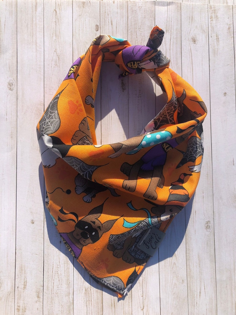 Halloween Dog Bandana / Fall Colors Dog Bandana / Halloween Etsy UK