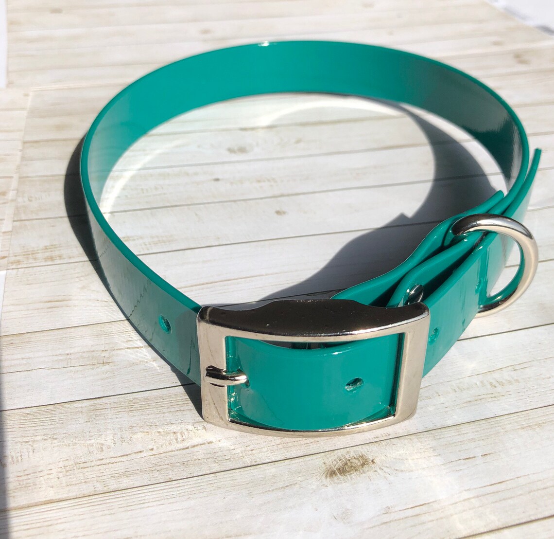 Photo inspiration: Picture Idea: 1 Waterproof Dog Collar Teal High Flex Glossy Dog Collar