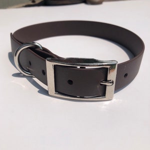 May include: A brown rubber dog collar with a silver buckle and a silver D-ring.