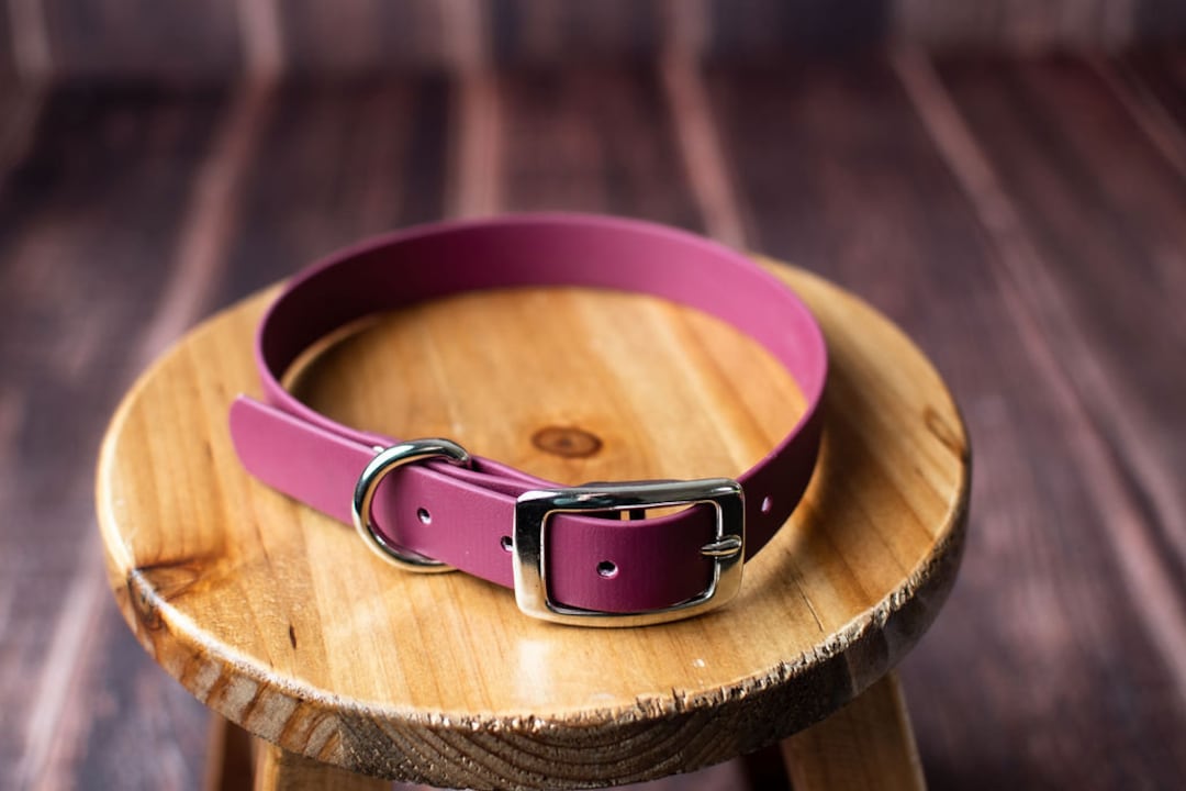 1 or 3/4 Waterproof Dog Collar / Maroon Dog Collar Etsy