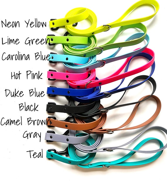 Palomine biothane leash cheap