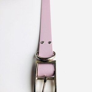 Peut inclure: Un collier de chien en cuir violet clair avec des accessoires argent&eacute;s, y compris une boucle et un anneau en D.