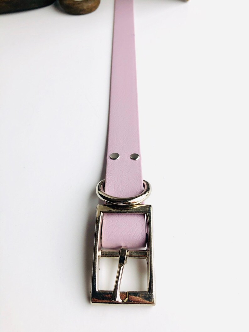Peut inclure: Un collier de chien en cuir violet clair avec des accessoires argent&eacute;s, y compris une boucle et un anneau en D.