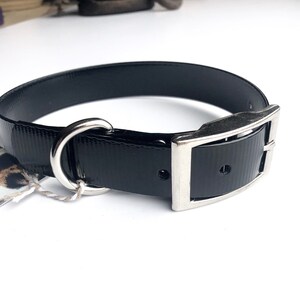 May include: A black nylon dog collar with a silver buckle and a D-ring. The collar has a textured surface.