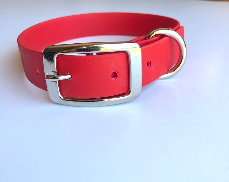 1 Waterproof Red Dog Collar Sturdy Dog Collar Dog Collar with Metal Buckle Biothane Dog Collar