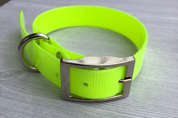 Neon collar Clearance