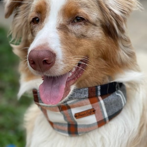 May include: A dog with light brown and white fur wearing a plaid bandana featuring a pattern of white, orange, grey, and black stripes. The bandana includes a small brown rectangular leather tag with the text Finn's Cafe embossed on it.
