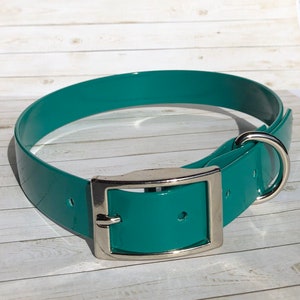 May include: A teal blue dog collar with a silver buckle and D-ring.