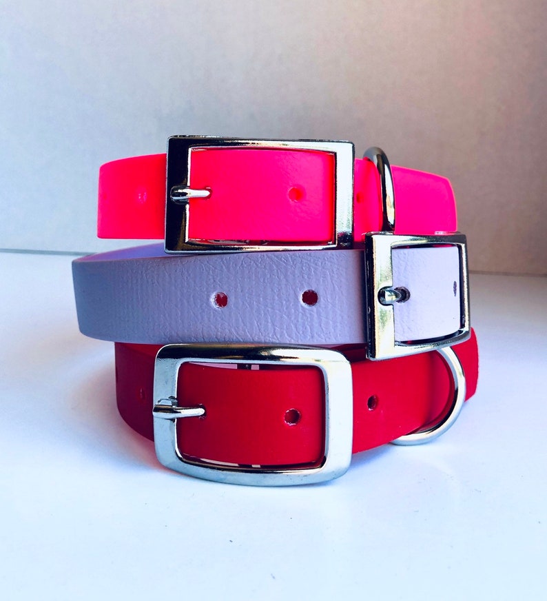 1 Waterproof Red Dog Collar Sturdy Dog Collar Dog Collar with Metal Buckle Biothane Dog Collar