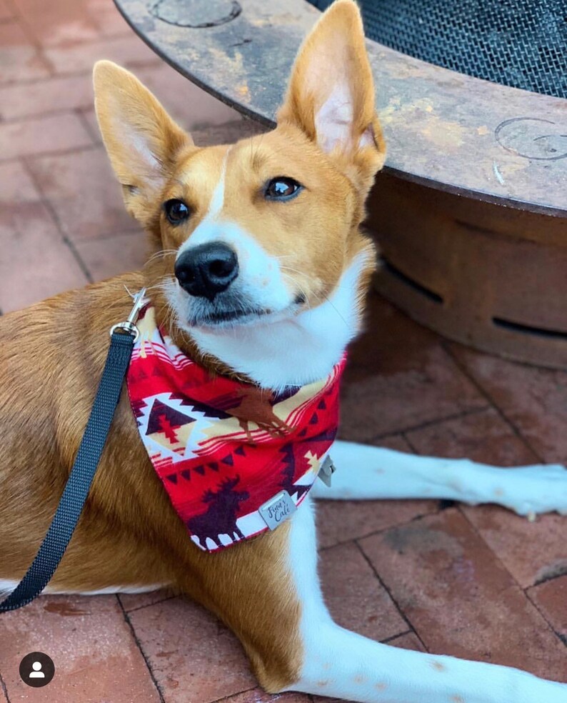 Red Aztec Southwestern Dog Bandana / Cute Dog Bandana / Red Etsy