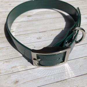 May include: A dark green dog collar with a silver buckle and a silver D-ring.