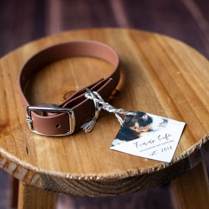 May include: A brown leather dog collar with a silver buckle. The collar is on a wooden stool with a tag that says "Furr's Cafe Handmade Pet Supplies est. 2018".