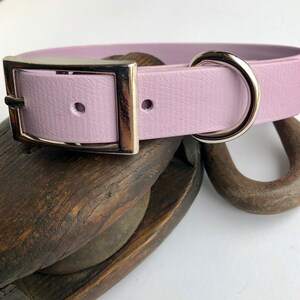 Peut inclure: Un collier pour chien de couleur lavande avec une boucle et un anneau en D argent&eacute;s.