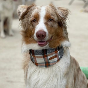 May include: A dog wearing a plaid bandana with a white, grey, and orange pattern. The bandana features a small brown leather tag with the text Finn's Cafe engraved on it. The dog has long, light brown and white fur and is looking forward.