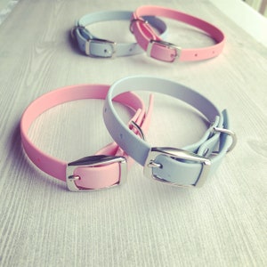 Waterproof Dog Collar Pastel Pink or Blue / Biothane Dog Collar Pastel / Pink Waterproof Dog Collar / Blue Waterproof Dog Collar