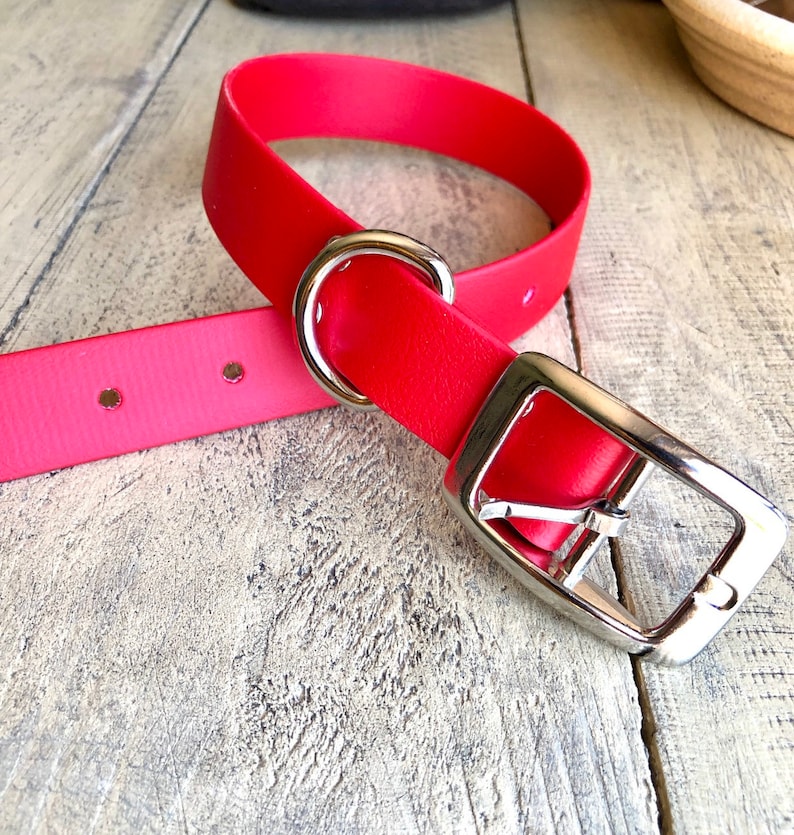 1 Waterproof Red Dog Collar Sturdy Dog Collar Dog Collar with Metal Buckle Biothane Dog Collar