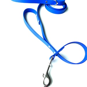 May include: A bright blue dog leash with a silver metal clasp and a loop handle. The leash is made of a flexible, durable material and features a simple design. The leash is approximately 48 inches long.