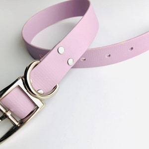 Peut inclure: Un collier de chien en cuir violet clair avec une boucle argent&eacute;e et deux rivets argent&eacute;s.