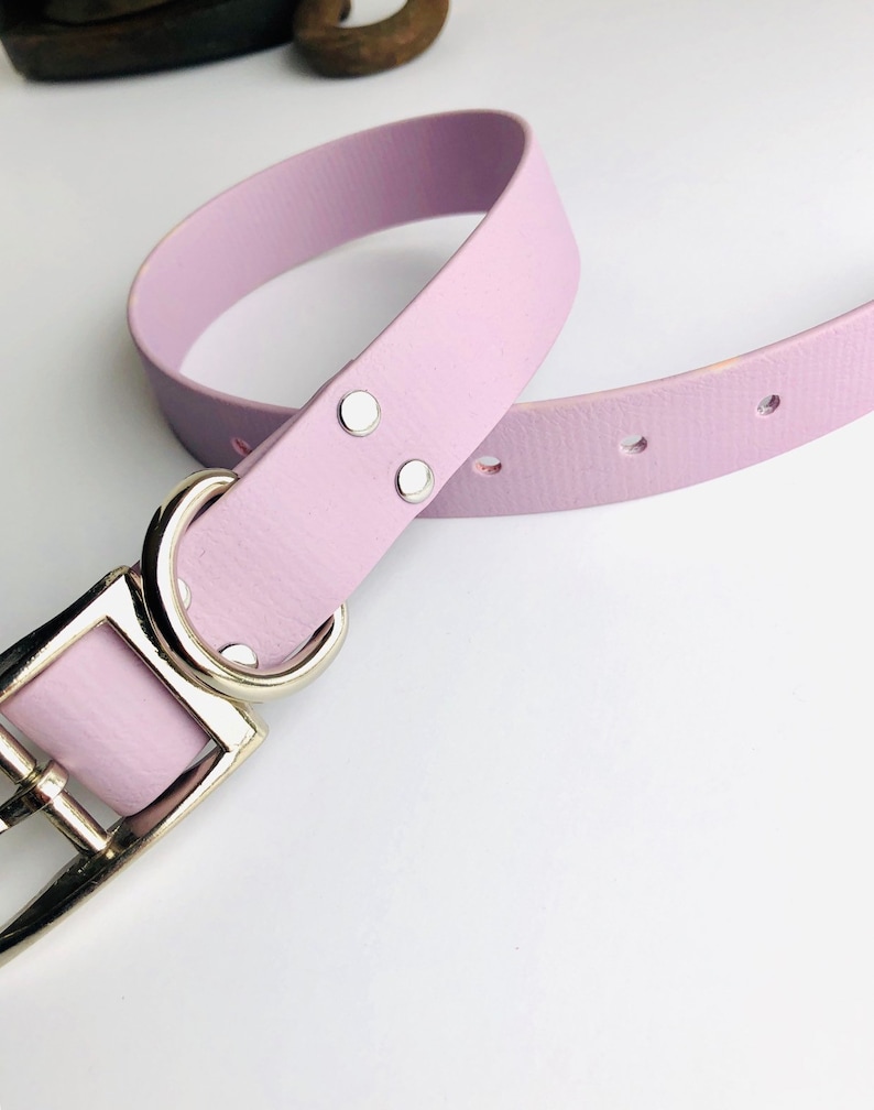 Peut inclure: Un collier de chien en cuir violet clair avec une boucle argent&eacute;e et deux rivets argent&eacute;s.