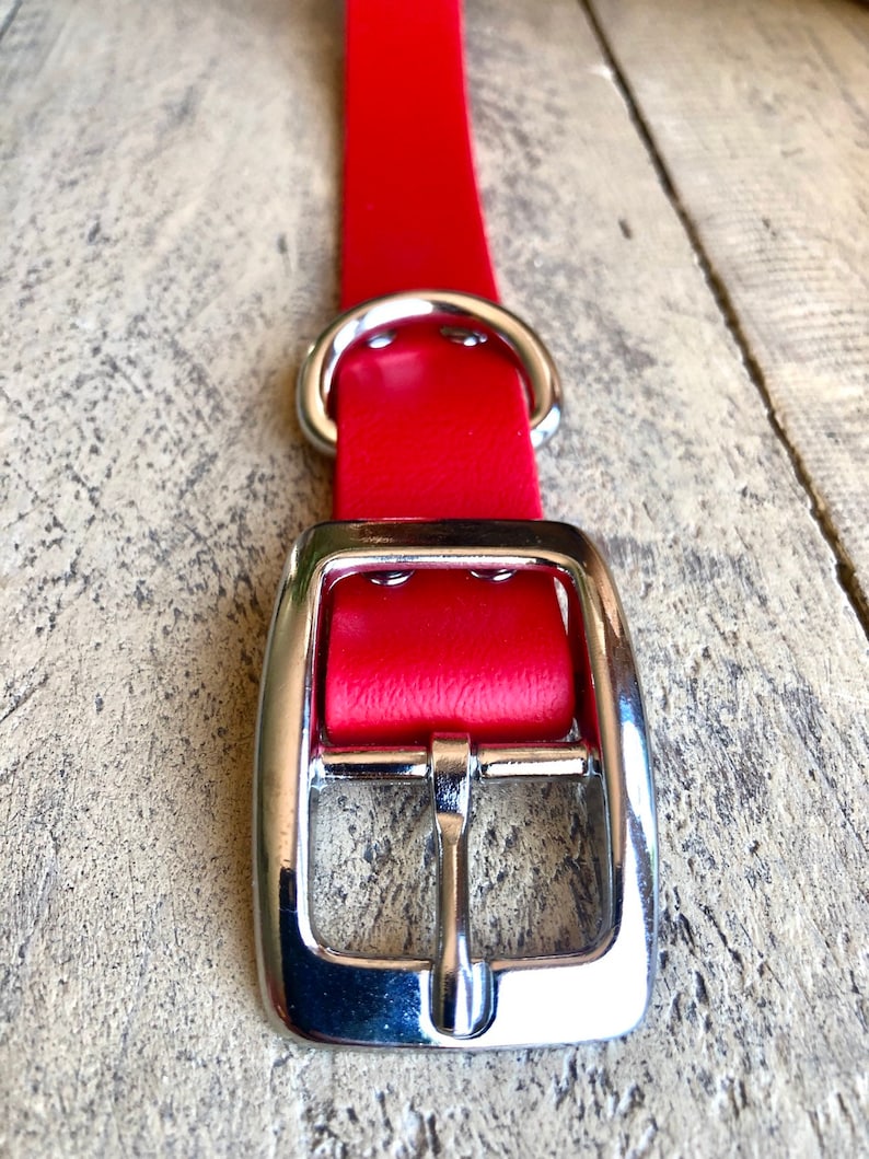 1 Waterproof Red Dog Collar Sturdy Dog Collar Dog Collar with Metal Buckle Biothane Dog Collar
