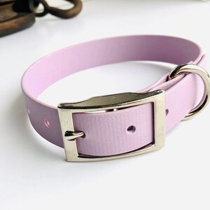 Peut inclure: Un collier de chien en cuir lavande avec une boucle argent&eacute;e.