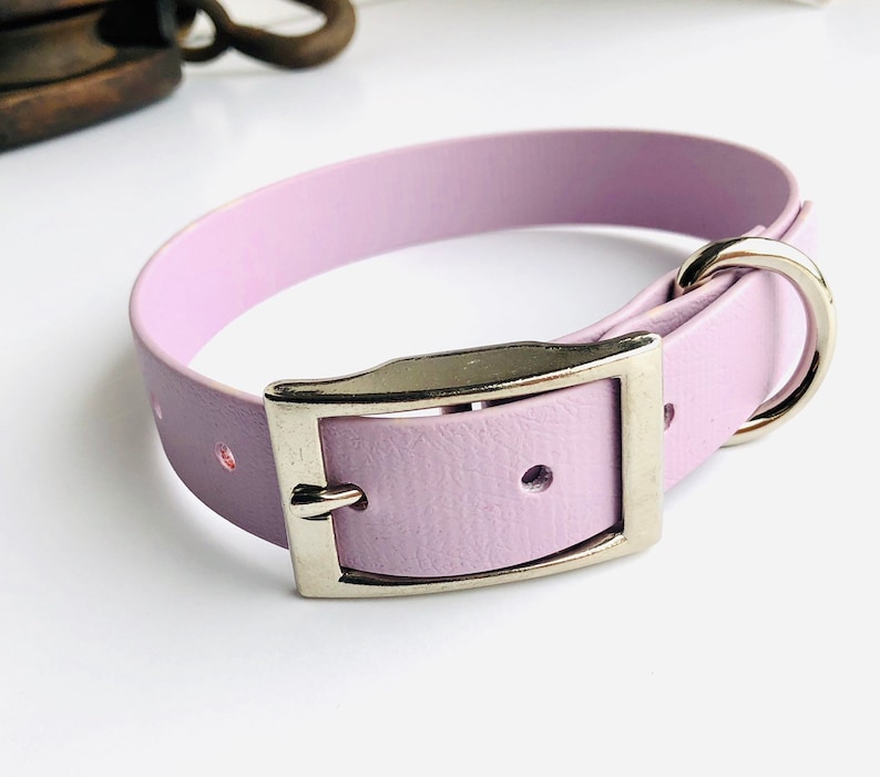 Peut inclure: Un collier de chien en cuir lavande avec une boucle argent&eacute;e.