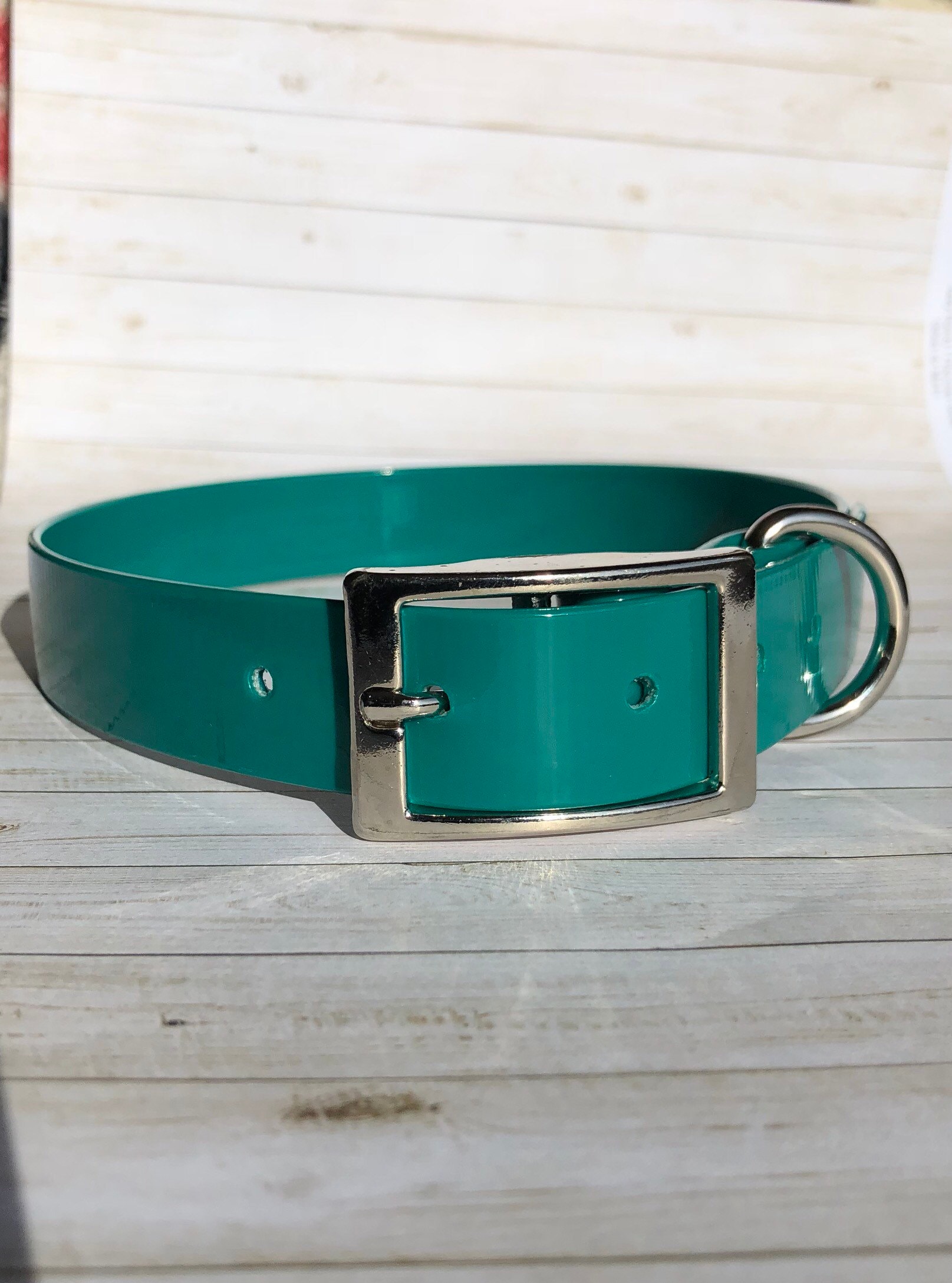 Illustration of Shiny Dog Collars With Insulated Waterproof Straps