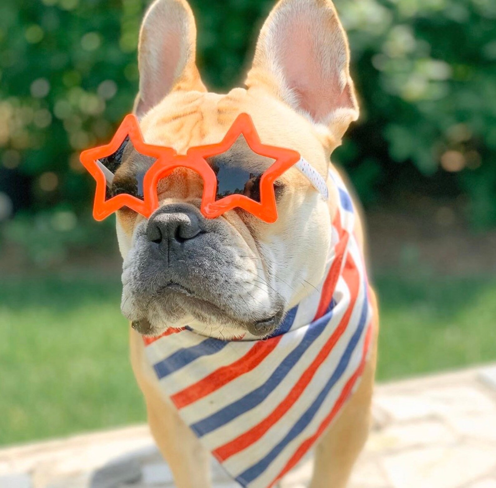 Patriotic USA Flag Stripes Dog Bandana / Red White and Blue Etsy