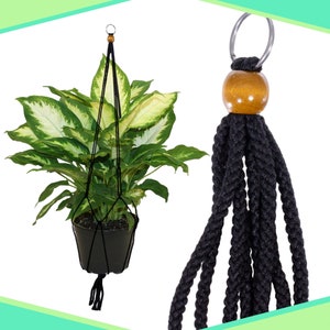 May include: Black macrame plant hanger with a wooden bead and a metal ring. The hanger is holding a potted plant with green and white leaves.