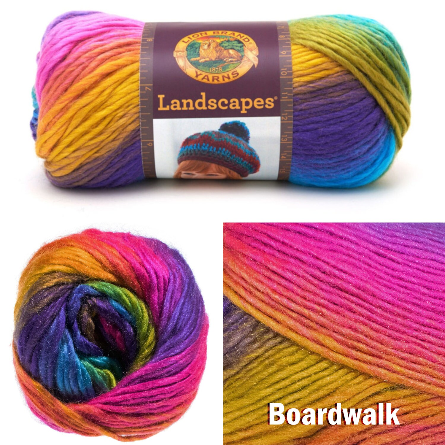 Lion Brand Landscape Yarn Perfect for Knitting and Crocheting Projects 100%  Acrylic Beautiful Yarn, Easy to Work With Vibrant Colors 