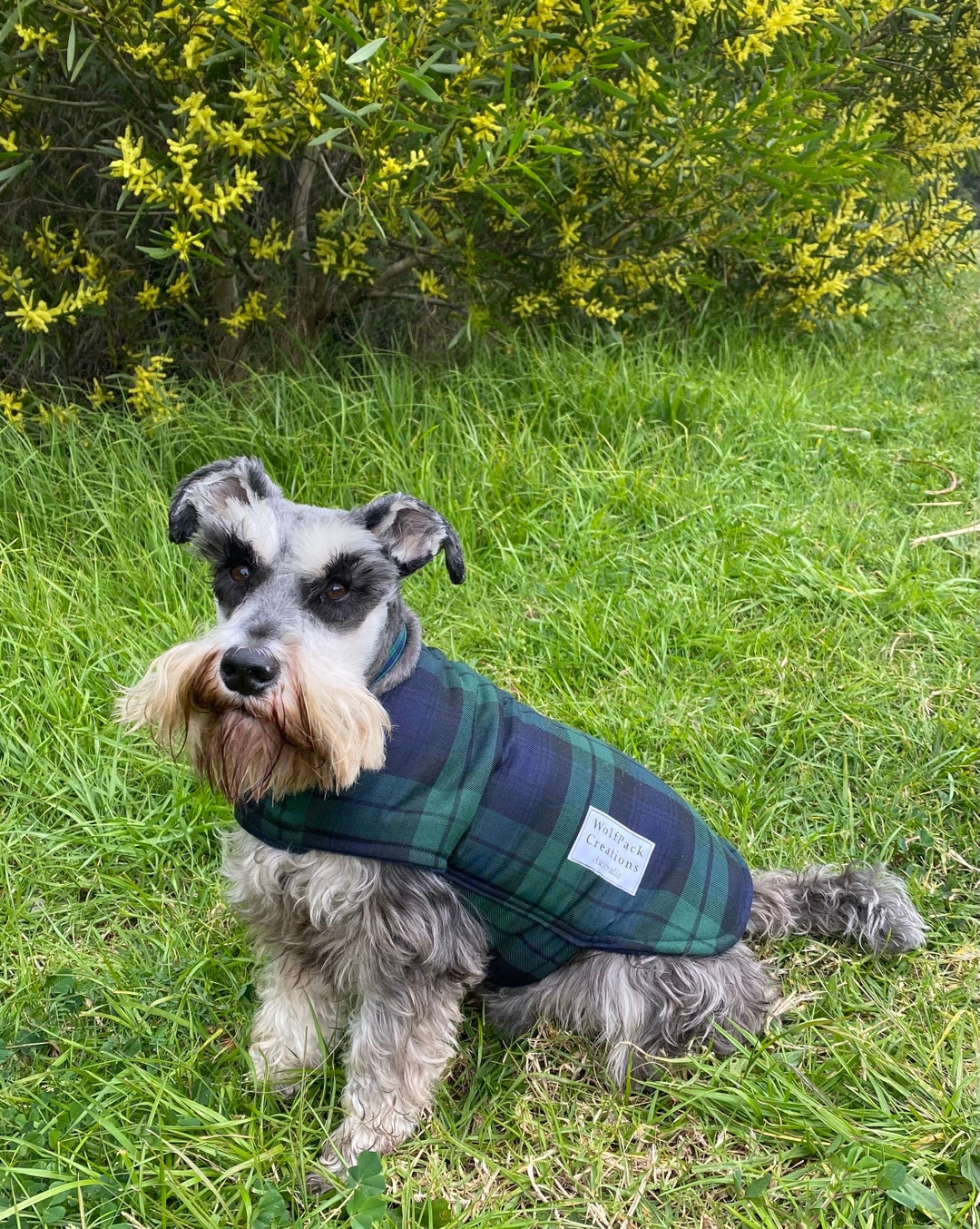 Black Watch Tartan Dog Coat Etsy