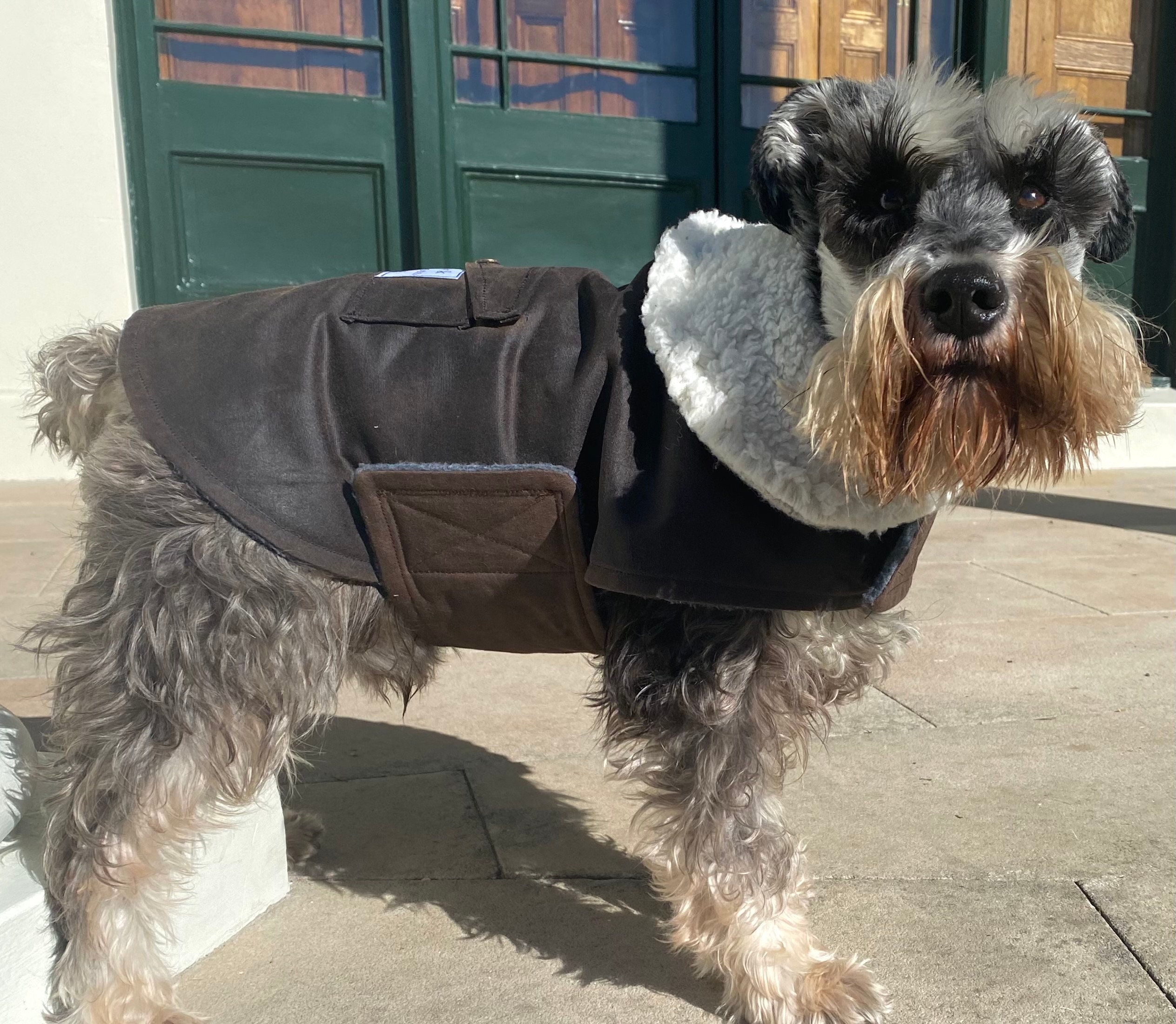 Oil skin dog coat with collar Etsy