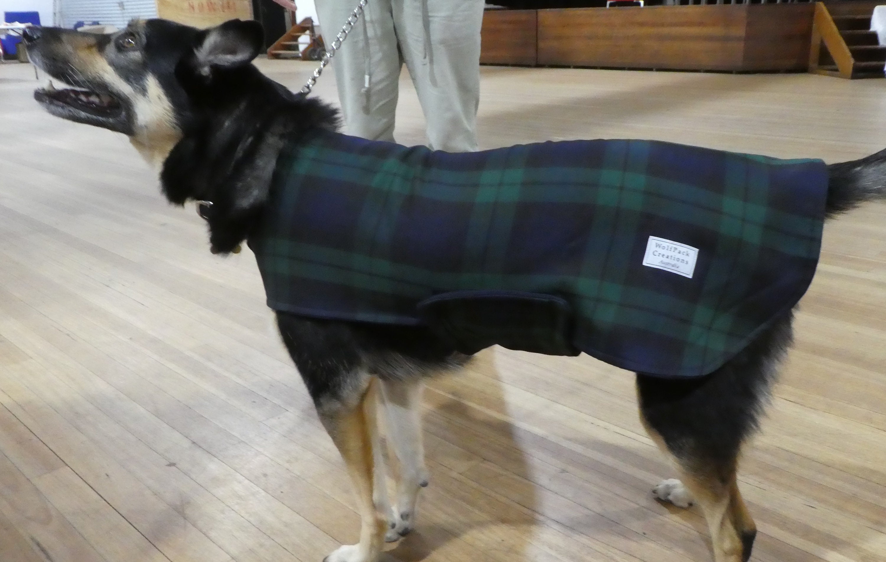 Black Watch Tartan Dog Coat Etsy