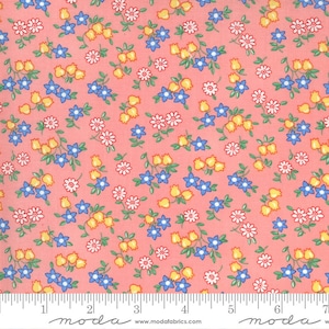 30&#39;s Playtime Yardage Posie Party Floral Petal by Chloe&#39;s Closet, Sold in 1/2 yard increments, Moda Fabrics, 33594 13